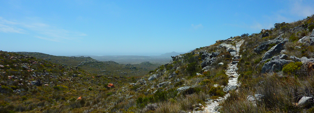Table Mountain - Hoerikwaggo Trail Cape Point