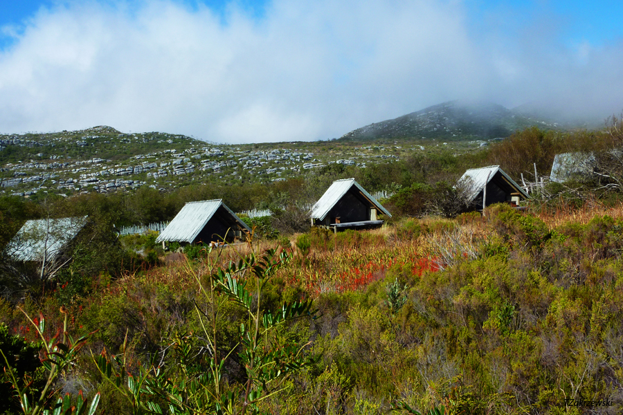 Table Mountain Hoerikwaggo Trail Silvermine tented Camp