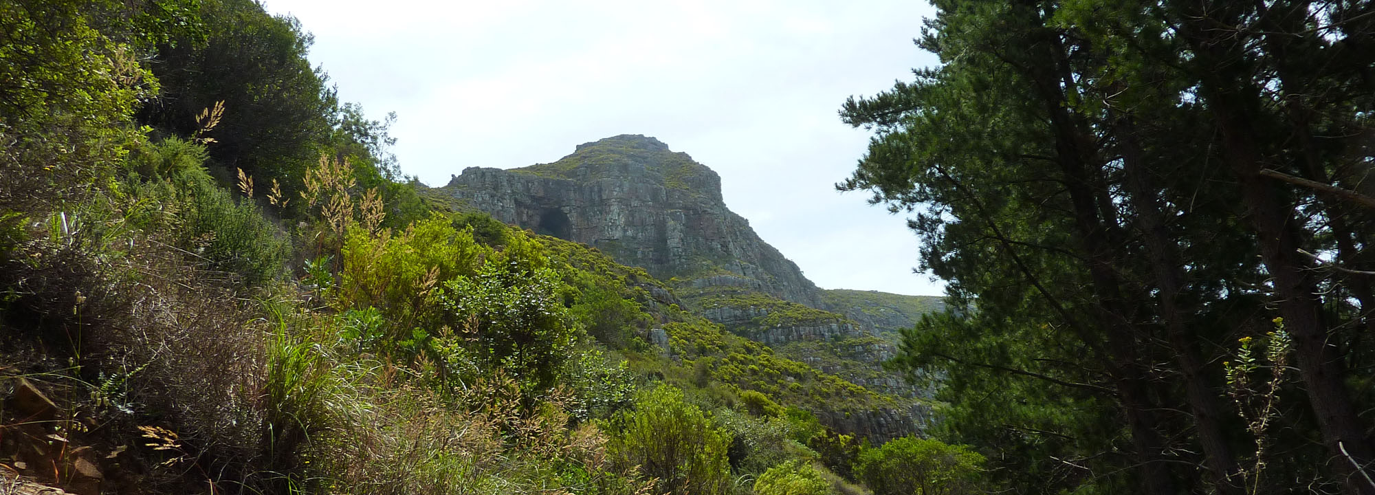 Table Mountain Elephant's Eye hike