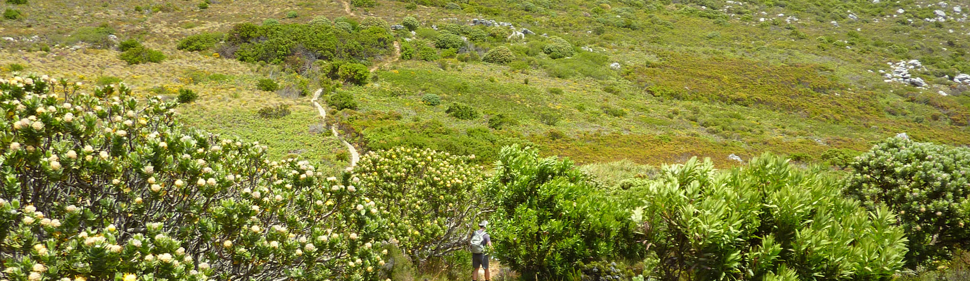 Table Mountain hike 01i