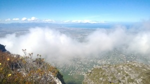 Table Mountain 